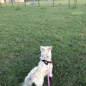 Meet your Posher, Alexandria